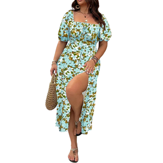 Ashcroft Trendy Plus Size Floral Print Dress – view 12