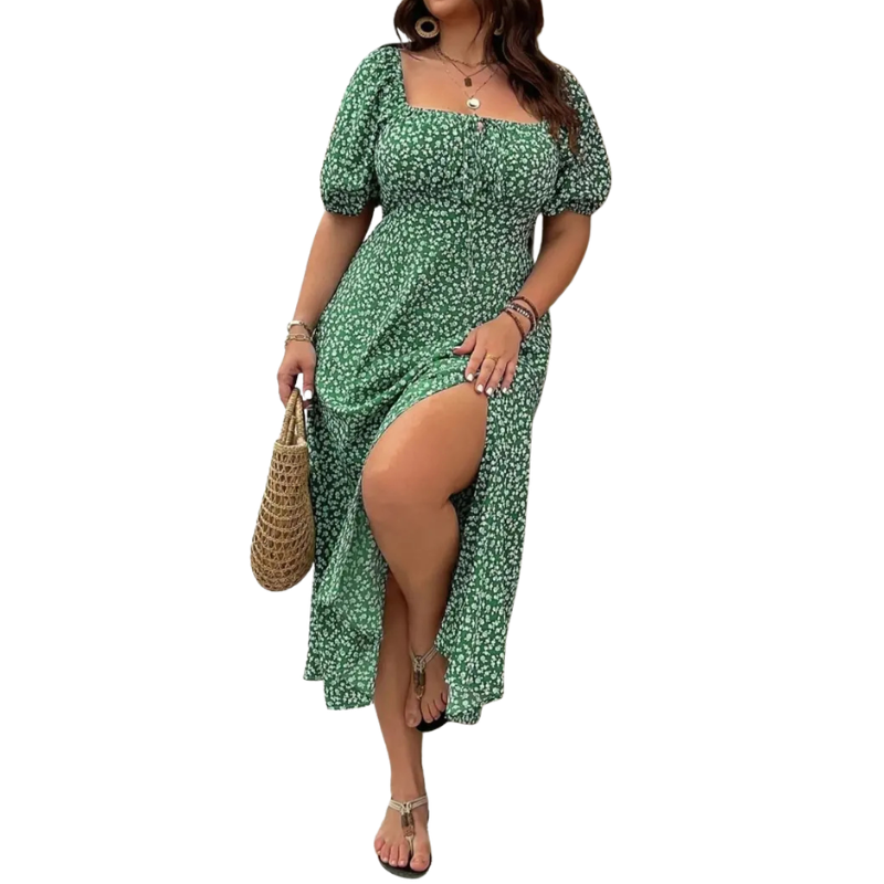 Ashcroft Trendy Plus Size Floral Print Dress