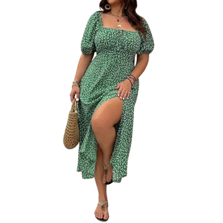 Ashcroft Trendy Plus Size Floral Print Dress