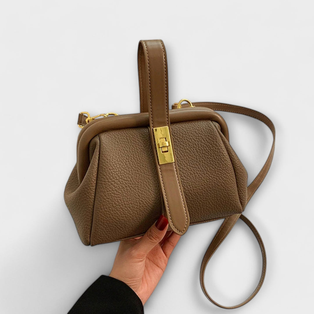 Ashcroft | Larissa Mini Structured Handbag